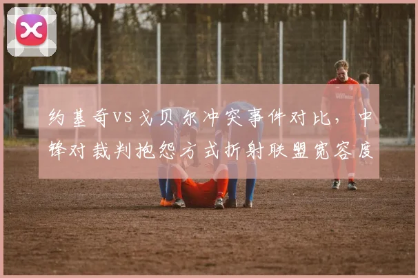 约基奇vs戈贝尔冲突事件对比，中锋对裁判抱怨方式折射联盟宽容度